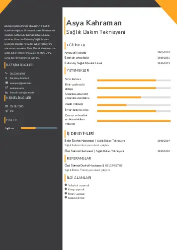 Sağlık Çalışanı Cv Örnekleri cv indir